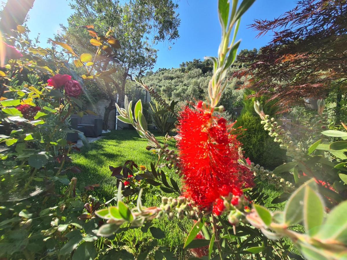 The Garden Villa Volastra Exterior photo