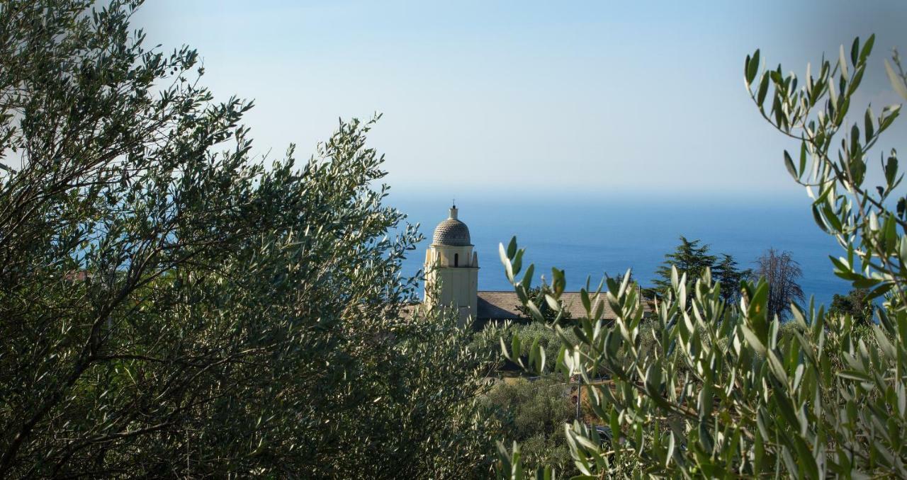 The Garden Villa Volastra Exterior photo